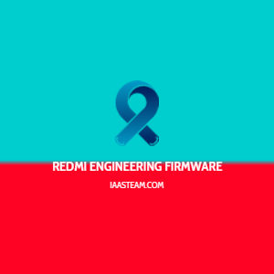 Redmi Note 9 Pro Max Excalibur ENG Firmware