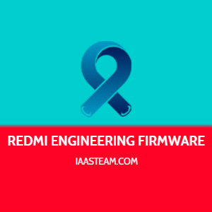 Redmi Note 10 Pro China Chopin ENG Firmware